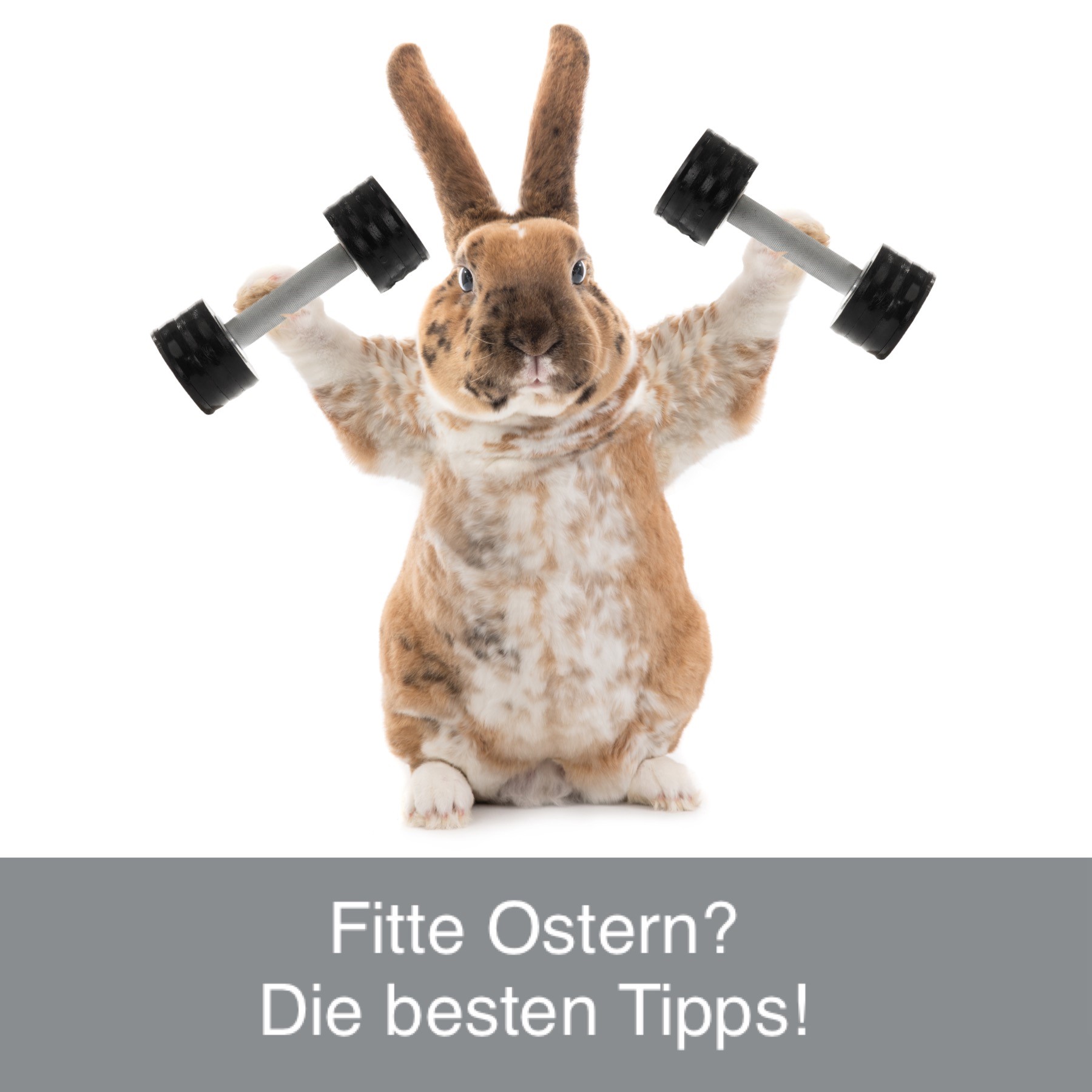 Fitte Ostern? Die besten Tipps!